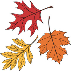 Obraz premium Autumn Leaves File, Fall Vector , Leaves Vector
