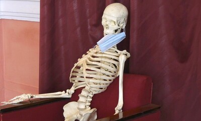 Human skeleton sits in a chair and greets you.