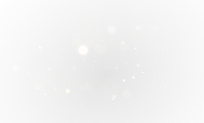 Luxury White Starry PNG