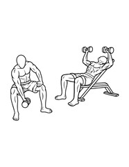 muscle male dumbbell gym sport training line art, hand drawn, sketch illustration
