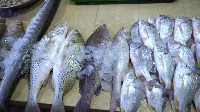 Assorted fish with silver scales laid out in rows on ice, with some showing yellow tints
