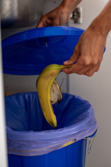Close-up of woman’s hand throwing banana peel into blue recycling bin with plastic liner, concept...