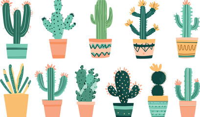 Collection of various potted desert cacti and succulents with colorful decorative planters on white background