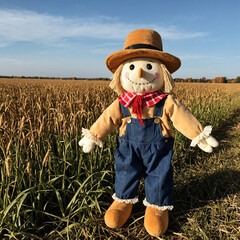 Photo Plush Scarecrow Toy in Autumn Field