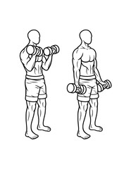 Biceps muscle male dumbbell gym sport training line art, hand drawn, sketch illustration