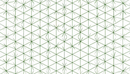 Fototapeta premium Geometric Pattern with Subtle Floral Elements.