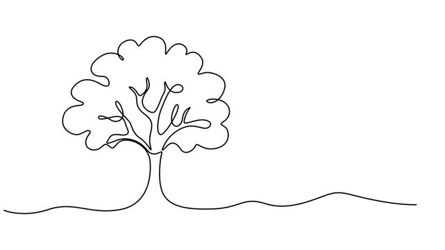 tree vector continuous one line drawing animation, Leaves continuous line drawing animated video. Plant branch one line art, Animated self drawing of continuous line draw plant and speech bubble.