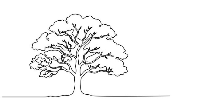 tree vector continuous one line drawing animation, Leaves continuous line drawing animated video. Plant branch one line art, Animated self drawing of continuous line draw plant and speech bubble.