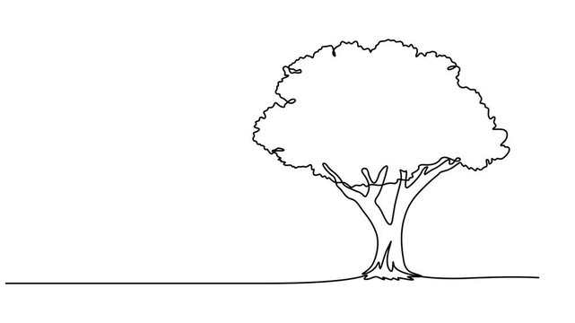 tree vector continuous one line drawing animation, Leaves continuous line drawing animated video. Plant branch one line art, Animated self drawing of continuous line draw plant and speech bubble.