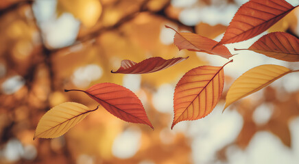 Autumnal Leaves in Gentle Drift: A visual sonnet of autumn captured as the leaves dance in a kaleidoscope of hues, carried on a whimsical breeze, painted in rich shades of the season.