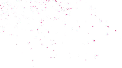 桜吹雪：桜の花びらイラスト　背景透過