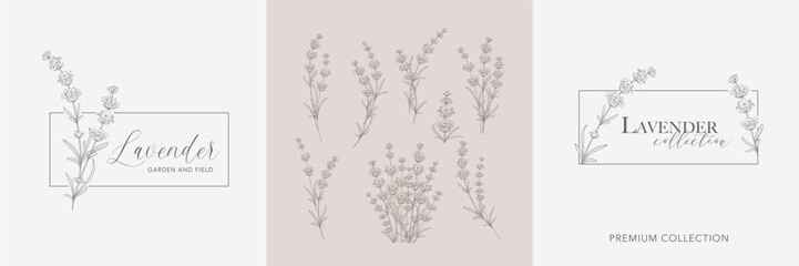 Lavender flower vector logo set . Floral design label