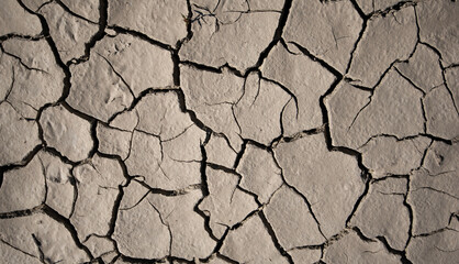 Landscape ground cracks drought crisis environment. Texture, background. Cracked earth.