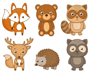 Set of cartoon forest animals including fox, bear, deer, raccoon, owl, hedgehog, squirrel, and wolf. Cute stylized vector illustration of woodland creatures