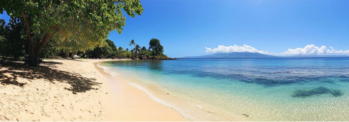 Obraz premium A tropical beach with white sand, palm trees, and crystal clear water, perfect for tourist brochures and articles about summer vacations.