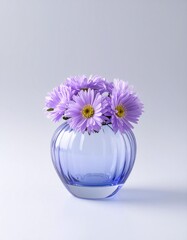 Aster savatieri flower background