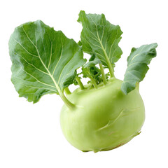 Fresh green kohlrabi vegetable with leaves isolated [Transparent Background PNG]
