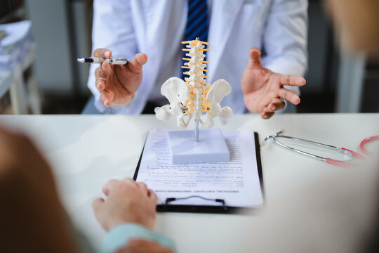 Doctor explaining pelvic bones and spine to patient using anatomical model