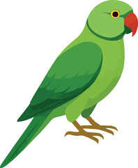 green parrot vector on white background