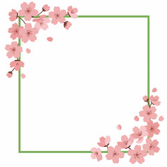 Fototapeta premium A square frame decorated with delicate pink cherry blossoms in the upper left and lower right corners, suggesting spring and natural beauty.