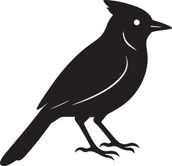 vector illustration of a crow