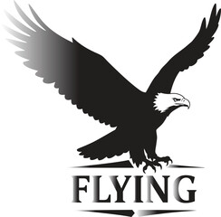 Majestic bald eagle in dynamic flight, a powerful black and white silhouette above the word 