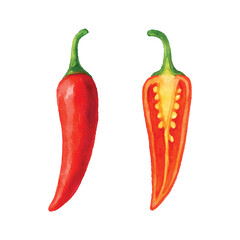 Watercolor Red Chili Pepper Whole and Half Illustration