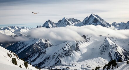 Eagle Soaring Snowy Mountains.