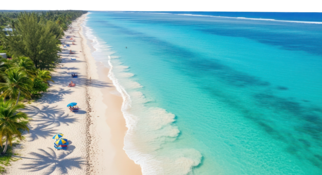 Aerial view of a tropical beach with turquoise water and palm trees isolated on transparent background