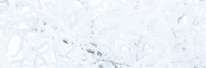 Snow and rime ice on the branches of bushes. Trees covered with hoarfrost. Plants in the park are covered with hoar frost. Cold snowy winter weather. Frosting texture. Wide panoramic light background.