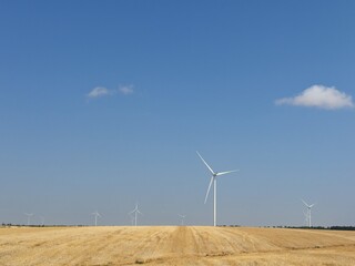 Landscape with renewable energy windmills in a golden agricultural field.