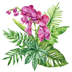 Orchid flowers with tropical green leaves watercolor painting exotic botanical floral illustration paradise summer artwork decor