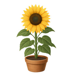Obraz premium sunflower flowers in pot PNG