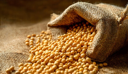 Freshly harvested soybeans spill out of a burlap sack, showcasing their rich color and texture against rustic fabric.