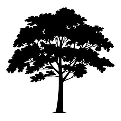 Fototapeta premium Bold black silhouette of a lush mature tree with detailed branches and leafy canopy