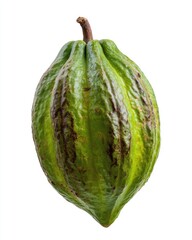 Naklejka premium Green cacao pod, bumpy, ribbed