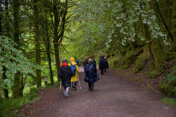 Groupe de randonneurs sous la pluie en Bretagne