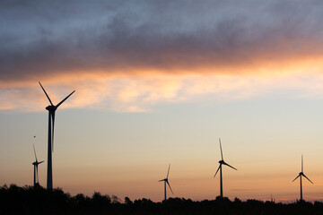 Windkraftanlagen im Maisfeld am Morgen, erneuerbare Energie Landschaft – Wind turbines in cornfield in the morning, renewable energy landscape