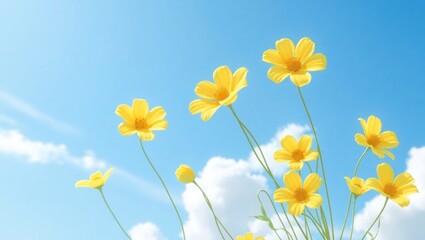 Fototapeta premium Bright Yellow Flowers Blooming Under Clear Blue Sky