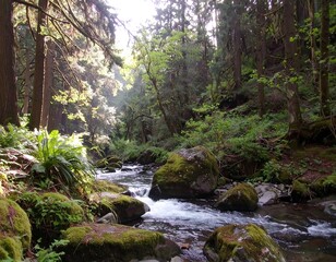 Obraz premium Sunlight streams through a lush forest, illuminating a rushing creek