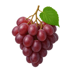 Grapes isolated on transparent background
