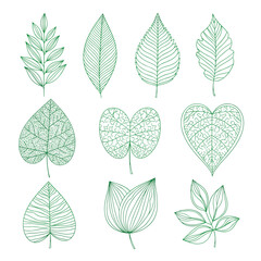 Fototapeta premium Collection of nine green leaf silhouettes stylized organic botanical art