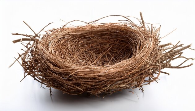 empty light brown bird nest on white background