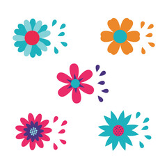 Collection of vibrant blooming flowers with falling petals isolated on white background