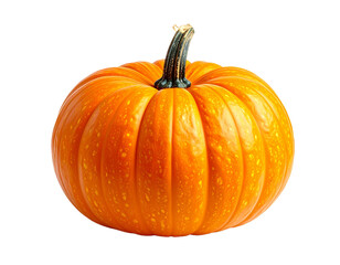 pumpkin png 