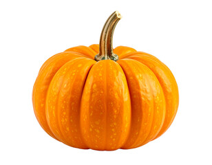 Obraz premium pumpkin png 