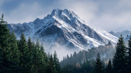 Snow covered mountain peak under a cloudy sky with a dense forest of evergreen trees