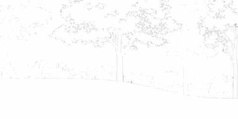 Minimalist sketch of trees and grass with a soft ethereal feel in grayscale