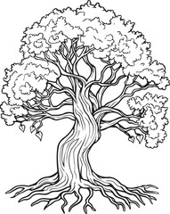 Detailed Oak Tree Sketch Collection