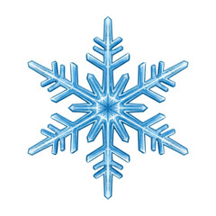 Fototapeta premium Intricate blue ice crystal snowflake with six delicate arms detailed and isolated on transparent background